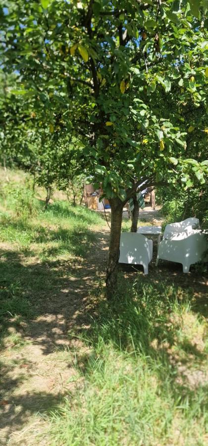 Casageo Cheile Nerei Villa Sokolar Exteriör bild
